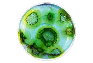 Дезинфекция