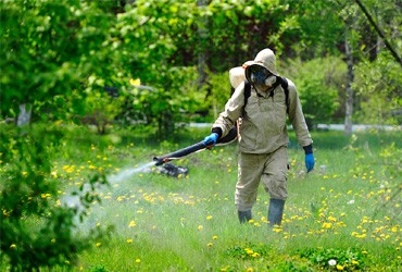Уничтожение клещей на  открытых территориях